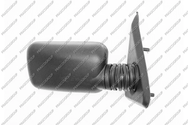 Exterior Mirror (FT1217003)