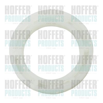 Seal Ring, nozzle holder (80298525)