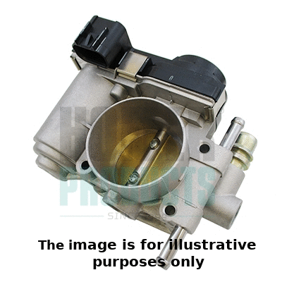 Throttle Body (7519484R)