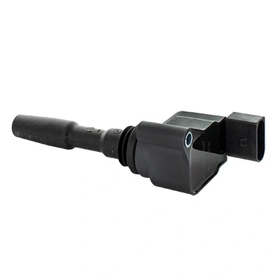 Ignition Coil (8010817)