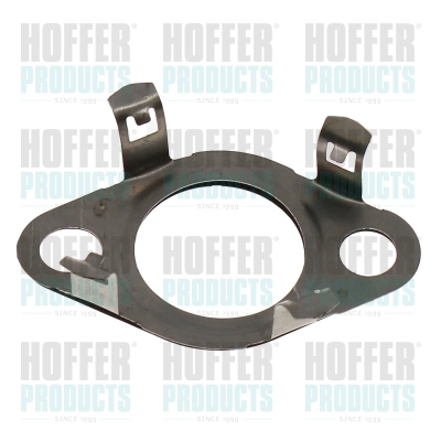 Gasket, EGR valve (016170)