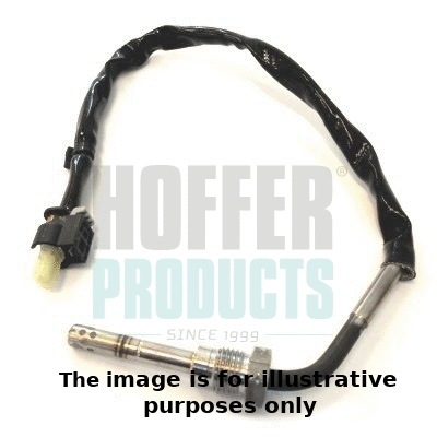 Sensor, exhaust gas temperature (7451963E)