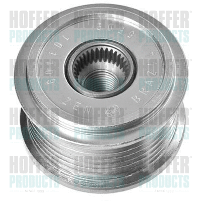 Alternator Freewheel Clutch (45254)