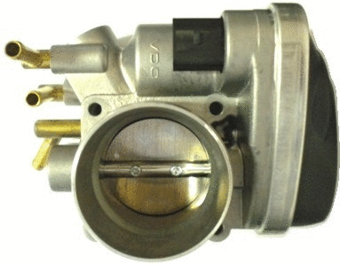 Throttle Body (7519087)
