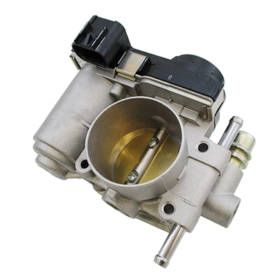 Throttle Body (7519484)