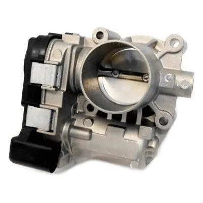 Throttle Body (7519207)