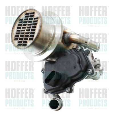 EGR Module (7518942)