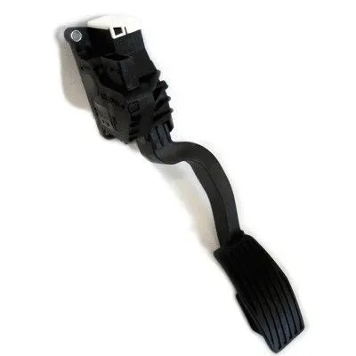 Accelerator Pedal Unit (7513543)