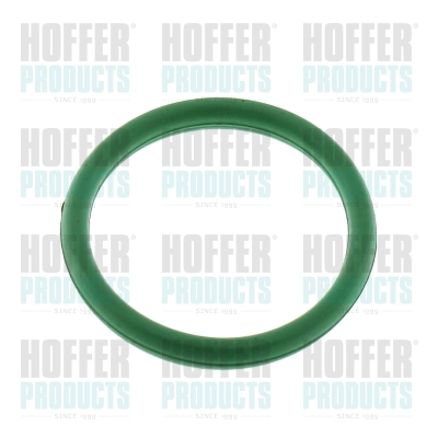Gasket, intake manifold (016200)
