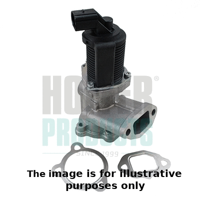 EGR Valve (7518043E)