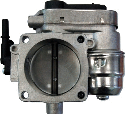 Throttle Body (7519109)