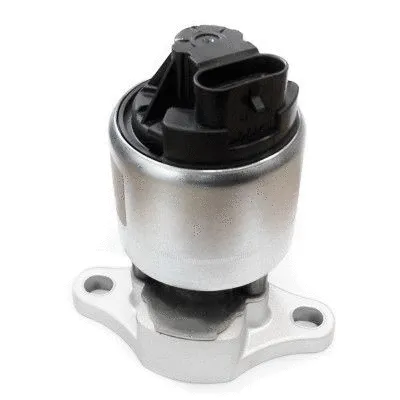 EGR Valve (7518280)