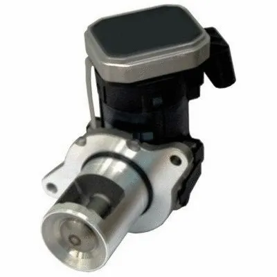 EGR Valve (7518181R)