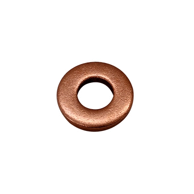 Seal Ring, nozzle holder (80298181)
