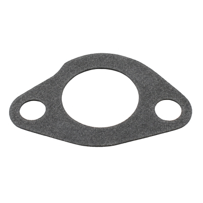 Seal, thermostat (01671)