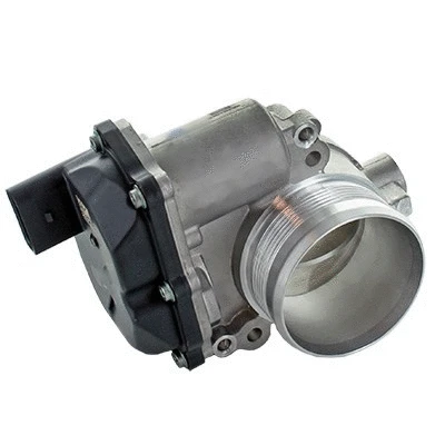 Throttle Body (7519381)
