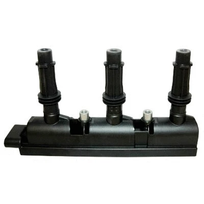 Ignition Coil (8010756)