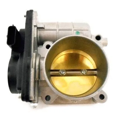 Throttle Body (7519190)