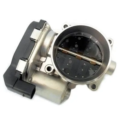 Throttle Body (7519247)