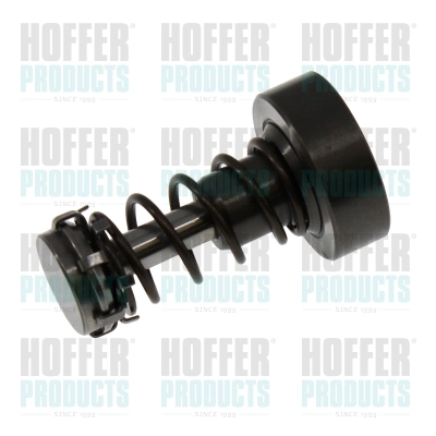 Repair Kit, common rail system (80298659)