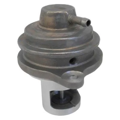 EGR Valve (7518327)