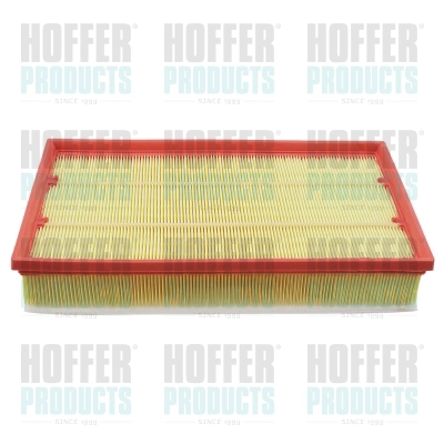 Air Filter (18723)