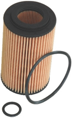 Oil Filter (14087)