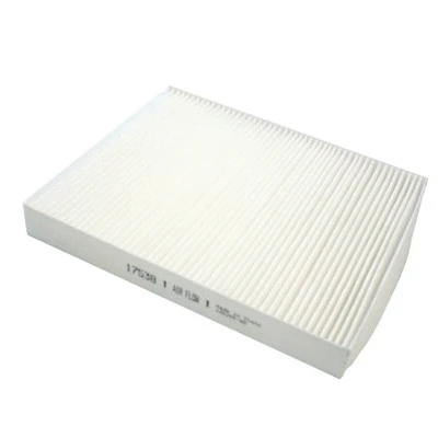 Filter, cabin air (17538)