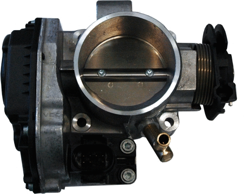 Throttle Body (7519105)