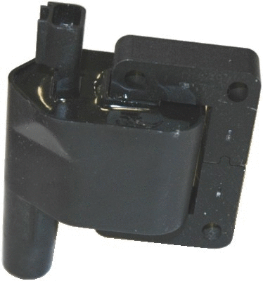 Ignition Coil (8010435)