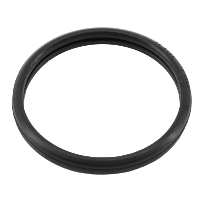 Seal, thermostat (01674)
