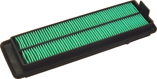 Air Filter (18389)