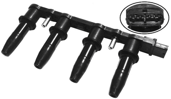Ignition Coil (8010480)