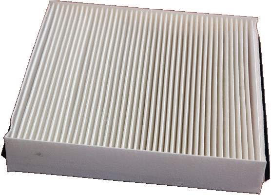 Filter, cabin air (17405)