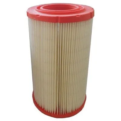 Air Filter (16501)