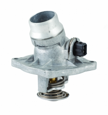Thermostat, coolant (8192596)