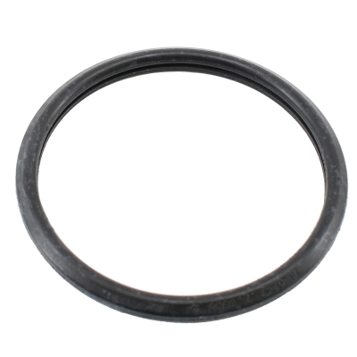 Seal, thermostat (01685)