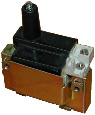 Ignition Coil (8010344)