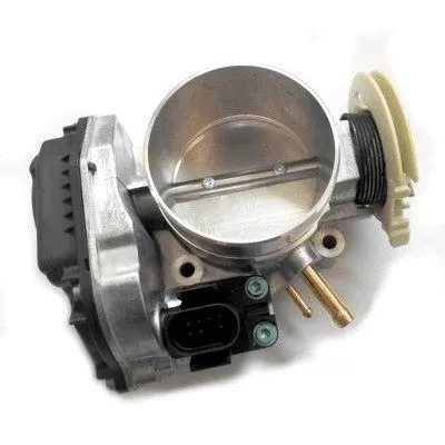 Throttle Body (7519283)