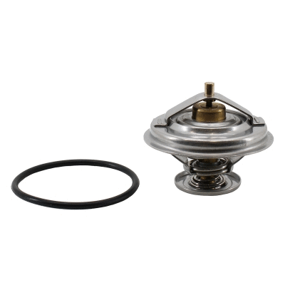 Thermostat, coolant (8192163)