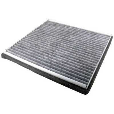 Filter, cabin air (17126K)