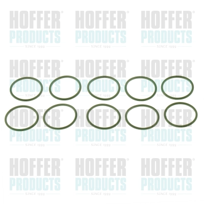 Rubber Ring (80298660)