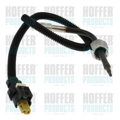 Sensor, exhaust gas temperature (7452843)