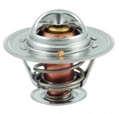 Thermostat, coolant (8192213)