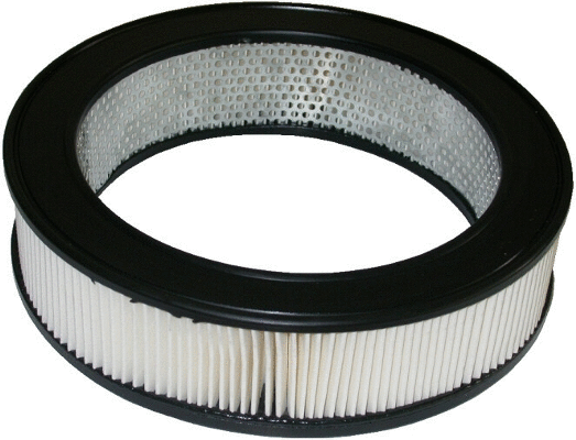 Air Filter (16294)