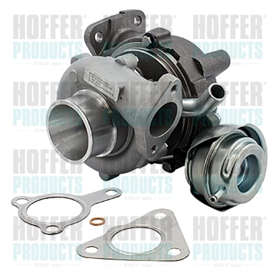 Charger, charging (supercharged/turbocharged) (6900929)