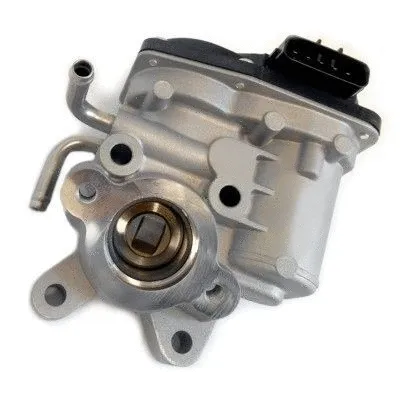 EGR Valve (7518318)
