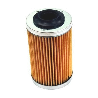 Oil Filter (14122)