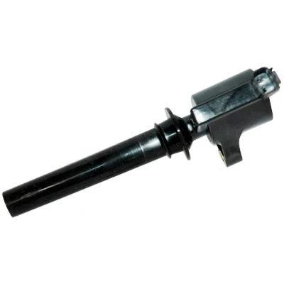Ignition Coil (8010696)