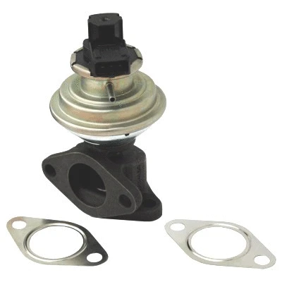 EGR Valve (7518036)